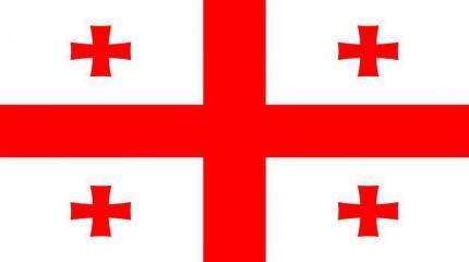 Минобороны: Грузия планирует «перепрыгнуть» план действий по членству в Североатлантическом альянсе