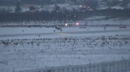 Разработанный на замену «Кукурузнику» Ан-2 самолёт ЛМС-901 впервые оторвался от земли