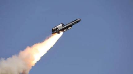 «Фламинго»: для кого головная боль, а для кого нет?