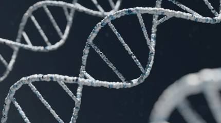 Госдума приняла закон об обязательной геномной регистрации силовиков