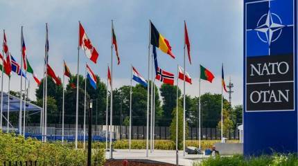 Вице-спикер Совфеда РФ заявил, что НАТО зачищает «серые зоны» Европы - последние нейтральные государства