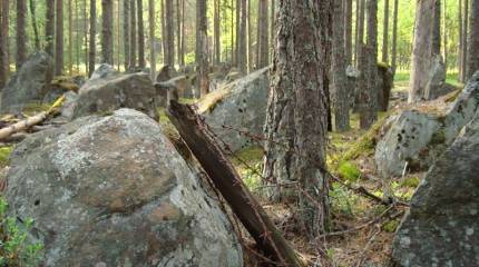 Братание с Маннергеймом