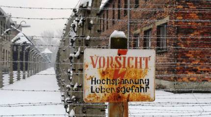 СМИ: освобождал Освенцим СССР, а на церемонию пригласили немца