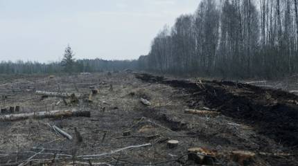 Литва выкопает рвы у границ с Россией и Белоруссией за десятки миллионов евро