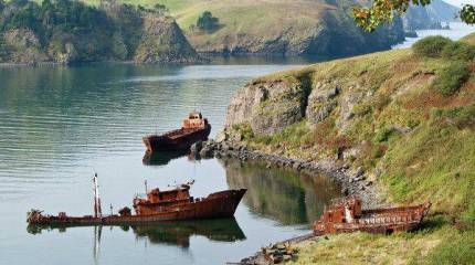 Япония надеется разрешить спор с РФ по поводу островов Курильской гряды