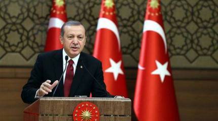 Эрдоган фактически представил планы по оккупации севера Сирии