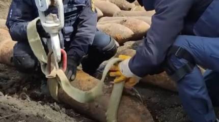 Польские власти направили свою полицию для проведения операции на Украине