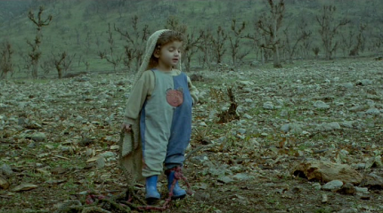 И черепахи умеют летать: Есть ли будущее у иранских курдов?