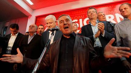 Выборы! Выборы! Кандидаты...