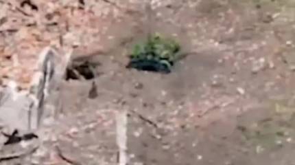 Наземный дрон «Крот-1» подавил огневую точку ВСУ, позволив российским бойцам успешно провести штурм Дылеевки под Торецком