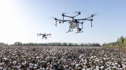 В США проведут крупнейшие в истории Пентагона испытания роя дронов