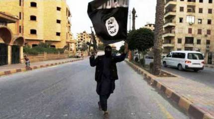 Боевики ИГ вошли в город Кобани. Турция не исключает своего участия в операции против исламистов