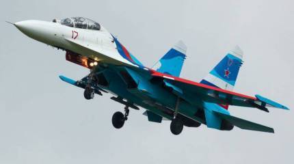 Соколы России