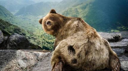 Почему с Россией всё не так, как хотелось бы?