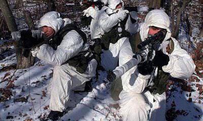 Ordered to survive: seaside scouts tested for strength