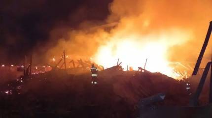 В ночь на 22 января российские дроны атаковали объекты противника в Николаевской, Одесской и Днепропетровской областях