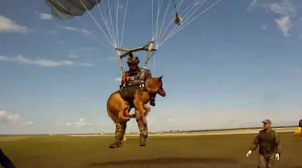 Новая парашютная система позволит производить десантирование вместе со служебной собакой