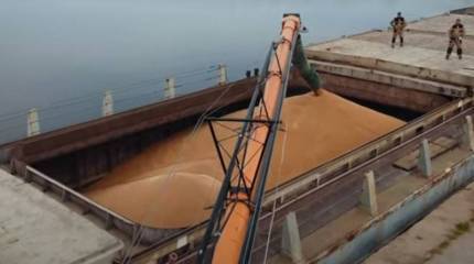 Западная пресса: Грузоотправители не будут экспортировать украинское зерно по Черному морю после выхода РФ из зерновой сделки