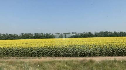 Россия из окна вагона