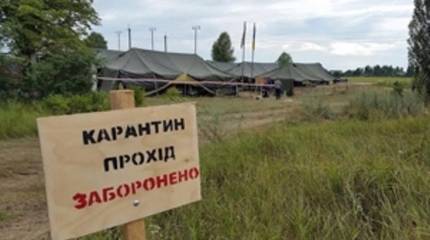 Записки Колорадского таракана. Сказано же: карантин! Африканская чума у свиней