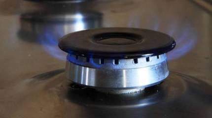 Премьер Саксонии: ФРГ не сможет отказаться от российского газа в ближайшие пять лет