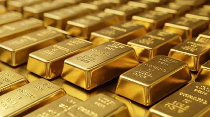 На онлайн-саммите БРИКС обсуждали создание альтернативной финансовой системы