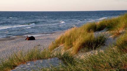 МИД РФ: Россия выходит из Совета государств Балтийского моря
