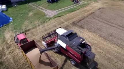 Польский министр: Варшава сохранит запрет на ввоз украинского зерна даже при угрозе штрафов от Евросоюза