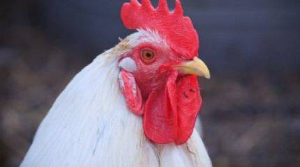 Троллям на заметку: пишите, пишите, вам зачтётся!