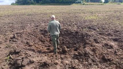 Эстония спустя четыре месяца признала, что на её территории упал дрон ВСУ