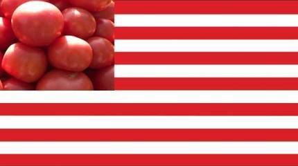 Помидорами не отделаются. Турция ударила пошлинами по товарам США