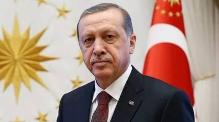 Bloomberg: Эрдоган призывал лидеров G20 выполнить требования России и возобновить зерновую сделку