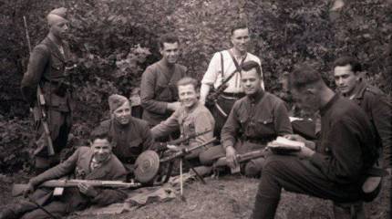 «Полесская сечь» Тараса Бульбы