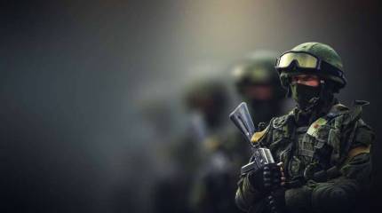 Бридлав: по сравнению с 2008 г. российская армия выросла «до 2-х метров»