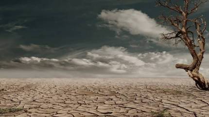 Politico: Европе грозит засуха и борьба за доступ к водным ресурсам