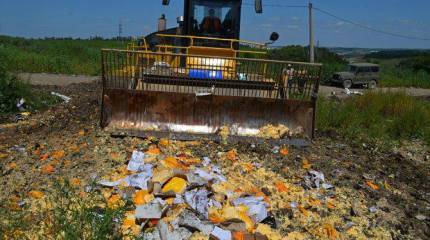 Сельское хозяйство и продовольственная безопасность. Проблемы и перспективы