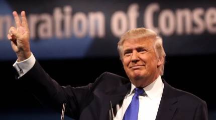 NYT сообщает о словах Трампа в адрес Зеленского во время недавнего телефонного разговора