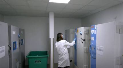 Профессор вирусологии из США: Американские учёные проводили именно те исследования, которые и вызвали появление нового коронавируса