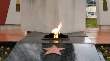 В селе Ростовской области вместо Вечного огня у мемориала его изображение включили на экране