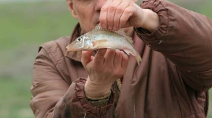 Носари Российской империи