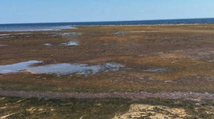 Дефицит электроэнергии на Украине приводит к обмелению Киевского водохранилища