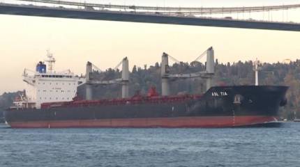 Посол Украины в Турции: Зерновая сделка не предусматривает выполнения требований Москвы