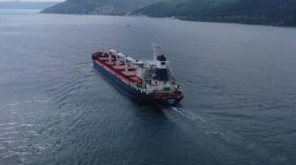 Сухогрузы вышли из Одесского порта несмотря на приостановку Россией участия в зерновой сделке