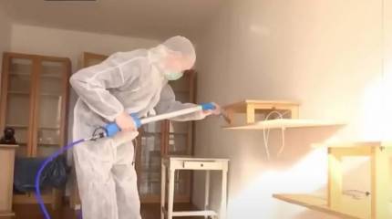 Французские спецслужбы обвинили российские СМИ в нагнетании психоза среди граждан страны публикациями о клопах