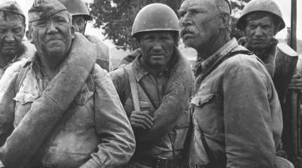 Они сражались за Родину!