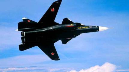 Одинокий «Беркут»: почему Су-47 оказался не у дел