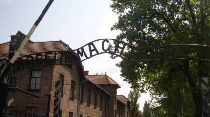 Идя сквозь тишину Освенцима