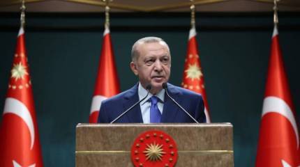 Эрдоган в телефонном разговоре с Путиным рассказал, как можно остановить бои в Карабахе