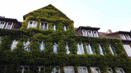 В немецкой Нижней Саксонии для экономии газа отключили подсветку исторических объектов и горячую воду в спортзалах и бассейнах