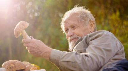 Тихая охота. Поход на Париж и солдатская смекалка
